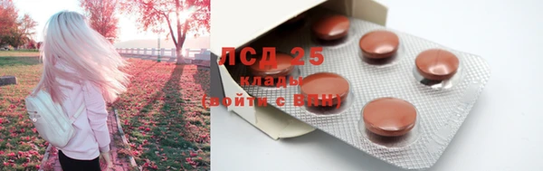 гашик Беломорск