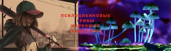 гашик Беломорск