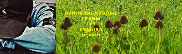 альфа пвп Белокуриха