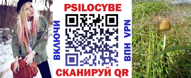 купить наркоту  darknet Telegram  Галлюциногенные грибы мухоморы  Малая Вишера 