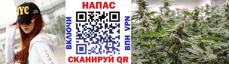 Шишки марихуана AK-47 Малая Вишера